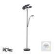 Paul Neuhaus Pure-mutil 003902-031719 Lampa Stojąca
