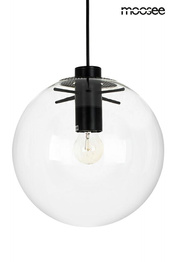 Zwis Moosee Sandra MSE010100308