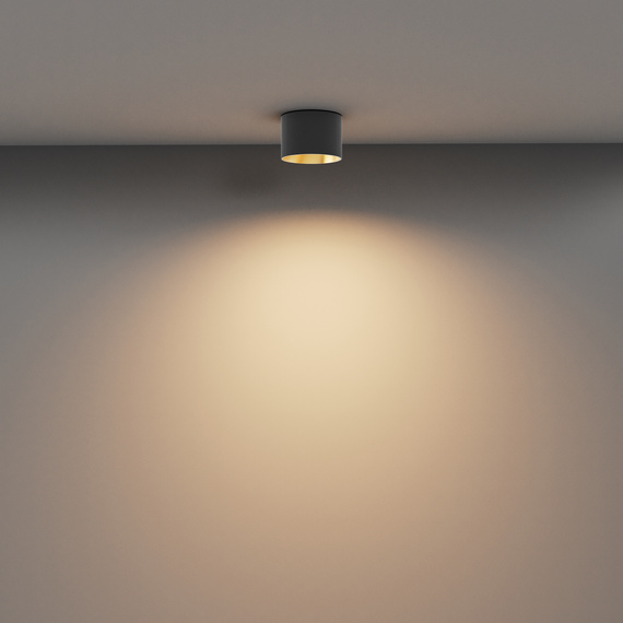 Maytoni Vega C089CL-8W3K-BMG Plafon