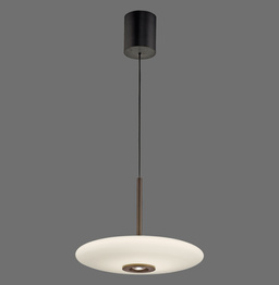 Lampa Wisząca Paul Neuhaus Pure E-vitrum 003902-031676