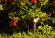 Lampa stojąca na zewnątrz Nowodvorski 8158 Tubings