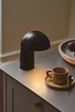 Lampa gabinetowa Nordlux Faye 2420155003