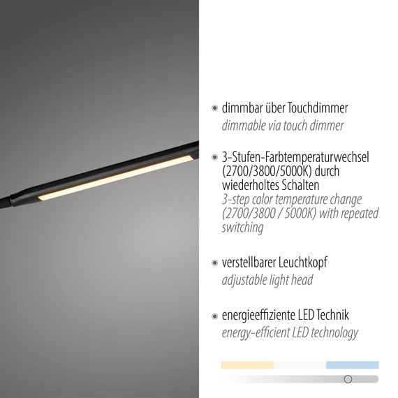 Paul Neuhaus Elly 003902-031746 Lampa Stojąca