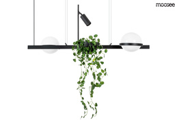 Zwis Moosee Plant MSE010100156