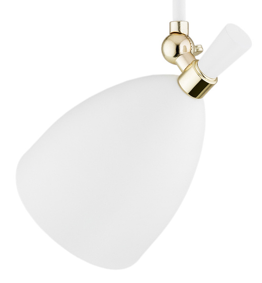 Zwis Argon Charlotte 4684