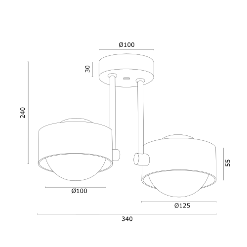 Zwis Argon 7088 Massimo