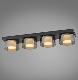 Plafon Paul Neuhaus Rika 003902-032206