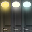 Lampa Sufitowa Milagro Maq ML1664