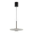Lampa Wisząca Paul Neuhaus Pure E-vitrum 003902-031676