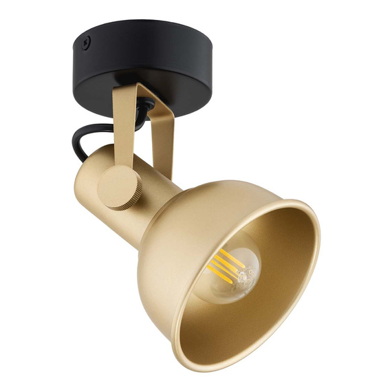 Lampa Ścienna Argon Lenora 8248