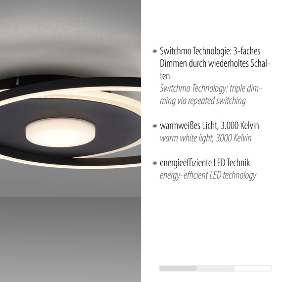 Plafon Paul Neuhaus Domino 003902-031929