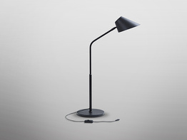 Lampa gabinetowa 215930 Schuller Esino