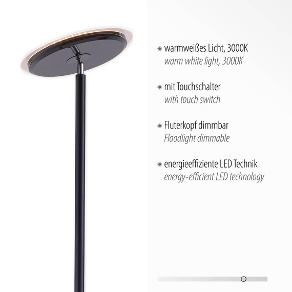 Plafon Paul Neuhaus Hans 003902-025883