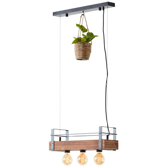 Zwis Brilliant Bankwood 99540/46