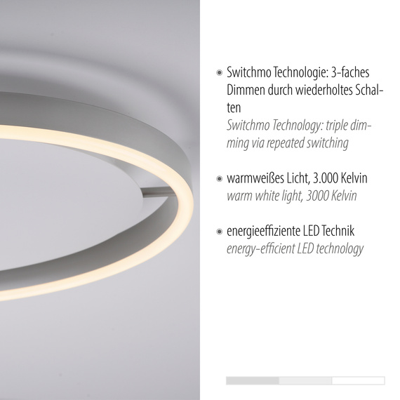 Plafon Paul Neuhaus Ritus 003902-024438