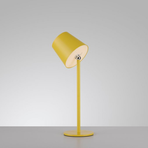 Lampka Biurkowa Paul Neuhaus Boteria 003902-031857