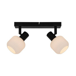 Plafon Zuma Line R5021009A-2B Stem