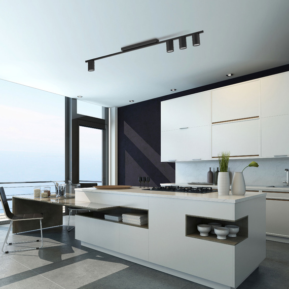 Plafon TK Lighting Logan 4566