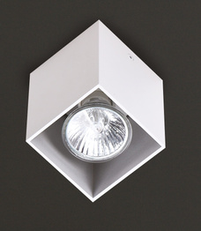 Plafon Maxlight Pet Square C0082