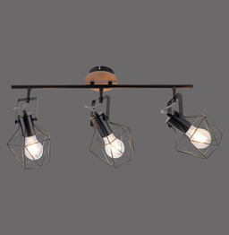 Paul Neuhaus Jaro 003902-015523 Plafon