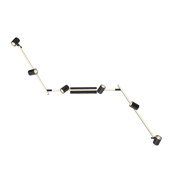 Lampa Sufitowa Paul Neuhaus Barik 003902-032226