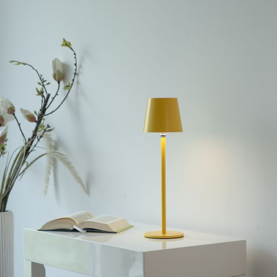 Lampka Biurkowa Paul Neuhaus Boteria 003902-031857