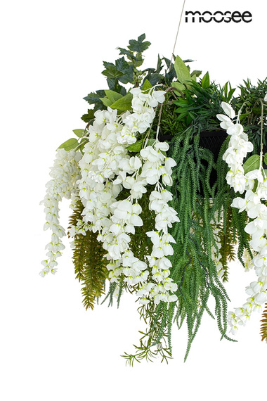 Zwis Moosee Gardens MSE1501100557.WIST