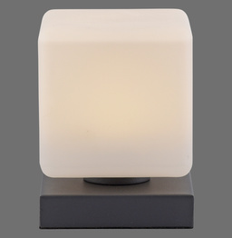 Lampa Biurkowa Paul Neuhaus Dadoa 003902-032175