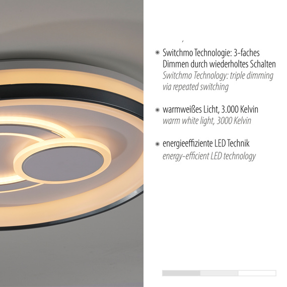 Plafon Paul Neuhaus Minelli 003902-031835
