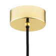 Zwis Argon 4879 Jesse