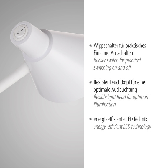 Lampka Biurkowa Paul Neuhaus Pixie 003902-031750