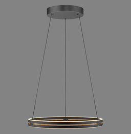 Lampa Wisząca Paul Neuhaus Pure E-loop 003902-030792