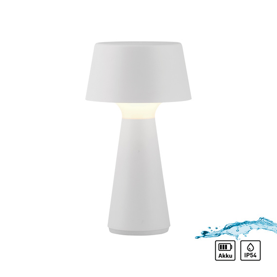 Zuma Line Abera 003902-029791 Lampka Biurkowa