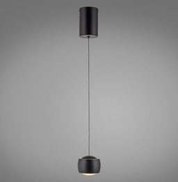 Żyrandol Paul Neuhaus Ballini 003902-031941