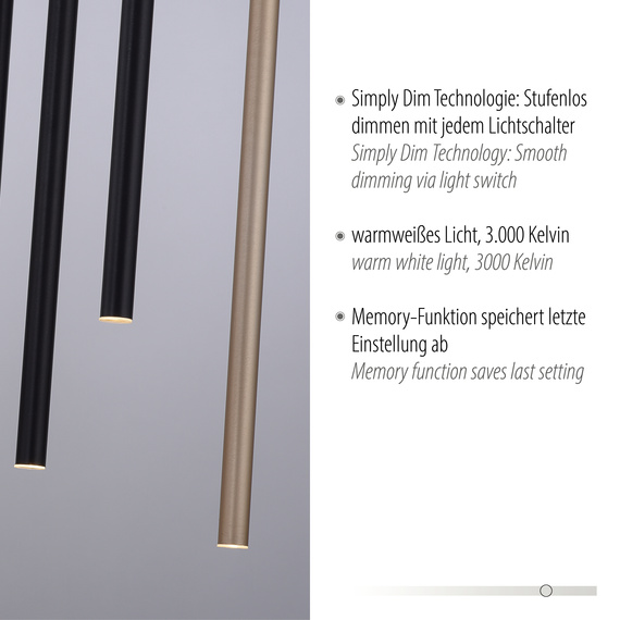 Lampa Wisząca Paul Neuhaus Flute 003902-032137