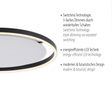 Plafon Zuma Line Ritus 003902-024439