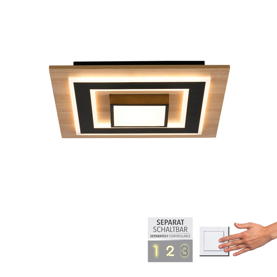 Lampa Sufitowa Zuma Line Tola 003902-031867
