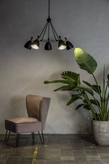 Zwis Argon 2118 Charlotte