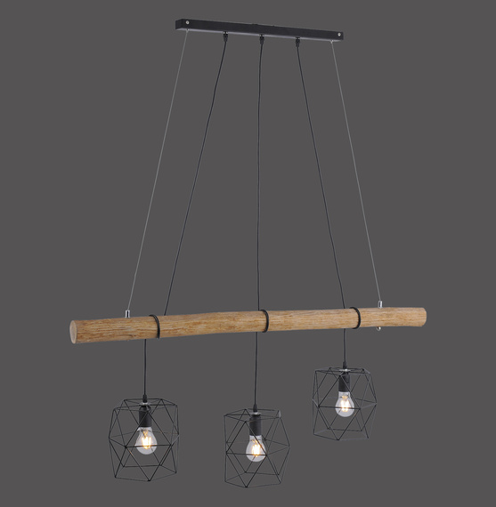 Lampa Wisząca Paul Neuhaus Edgar 003902-009783