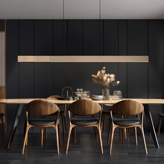 Lampa Wisząca Paul Neuhaus Pure-moto-rise 003902-026995