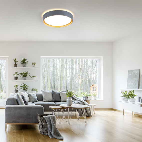 Lampa Sufitowa Zuma Line Emilia 003902-031836