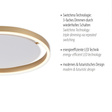 Lampa Sufitowa Zuma Line Ritus 003902-024437