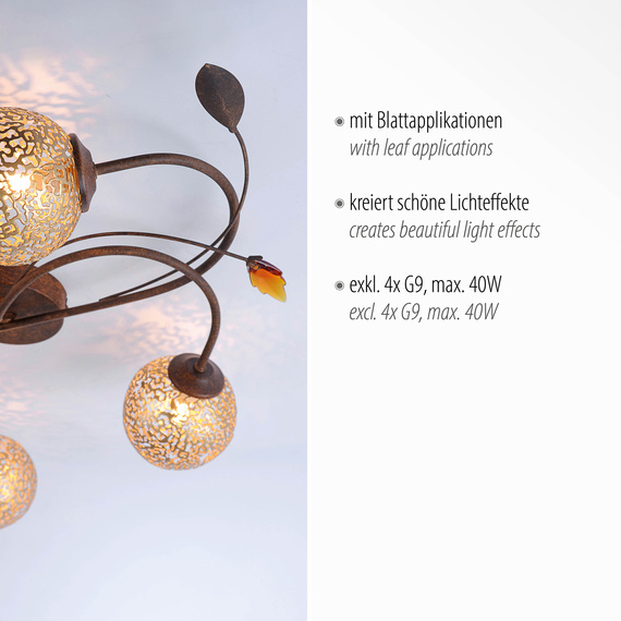 Lampa Sufitowa Paul Neuhaus Greta 003902-002507