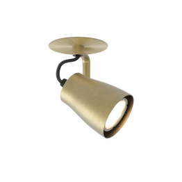 Spot Astro Juno 1487005