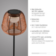Paul Neuhaus Askia 003902-032035 Lampa Stojąca