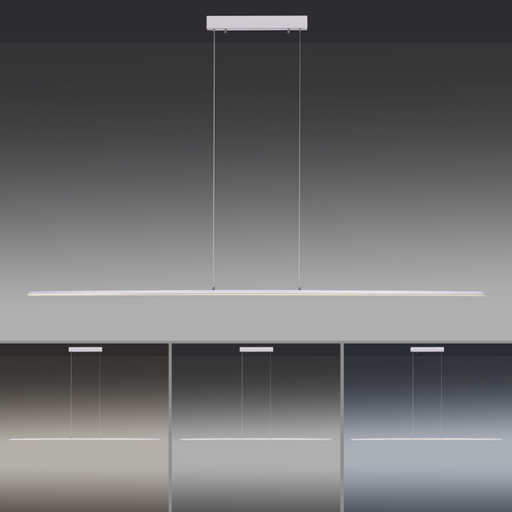 Lampa Wisząca Paul Neuhaus Pure-lite 003902-031043