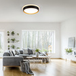 Lampa Sufitowa Zuma Line Emilia 003902-024471