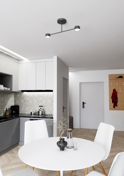 Emibig Halo 2 Black (1355/2) Plafon