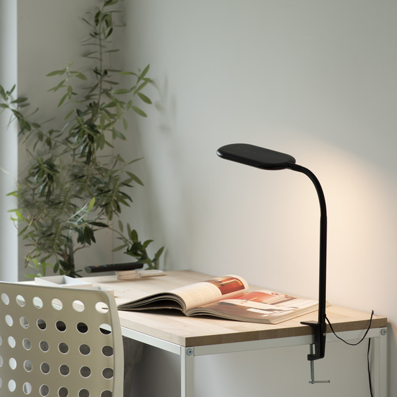 Zuma Line Kelly 003902-031844 Lampka Biurkowa