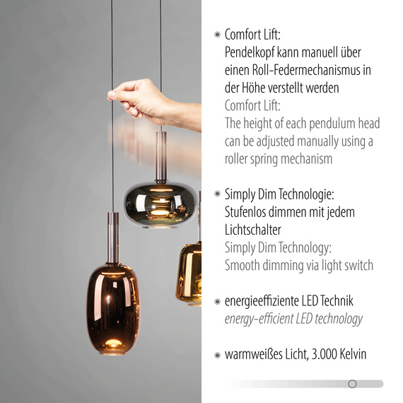 Lampa Wisząca Paul Neuhaus Irides 003902-030761